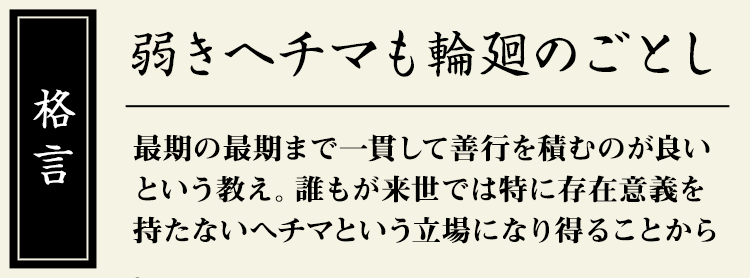 格言：【弱きヘチマも輪廻のごとし】